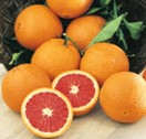 Citrus - Orange - Cara Cara