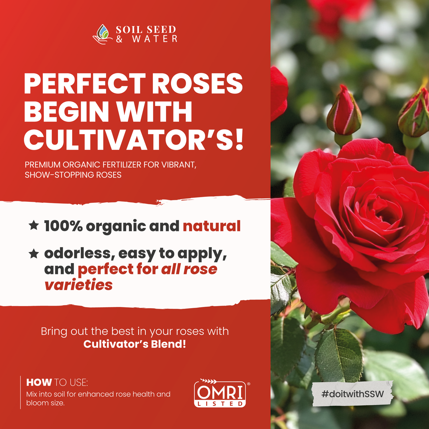 Cultivator's Rose Blend