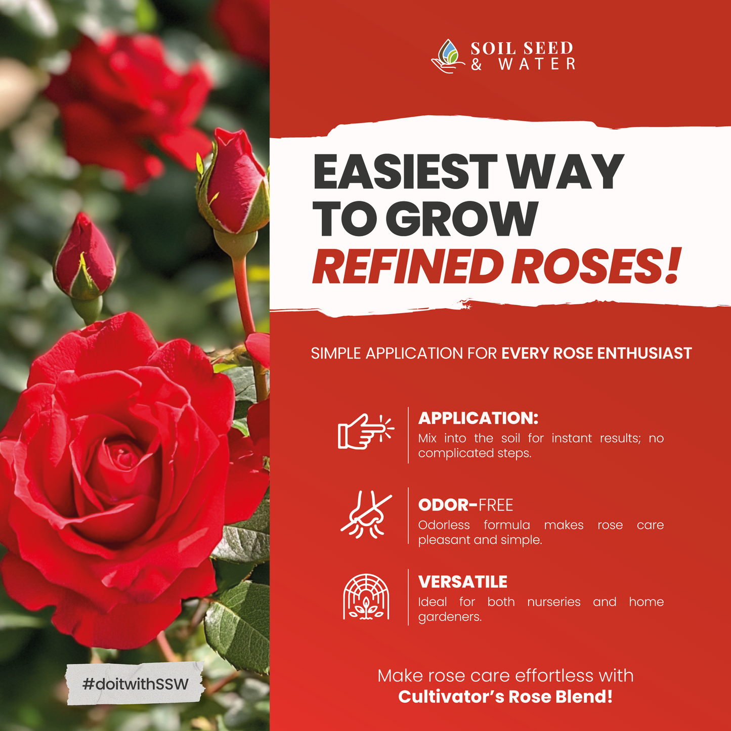 Cultivator's Rose Blend