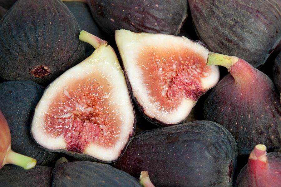 Fig Cutting -  Black Jack